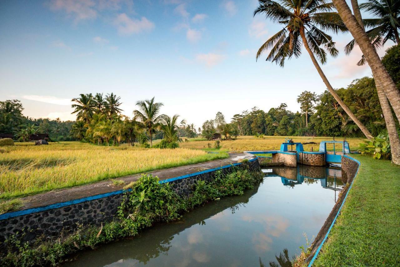 Taman Di Blayu By Nagisa Bali 4*