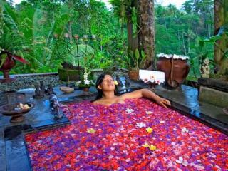 The Mahogany Ubud Villa Tegallalang (Bali)