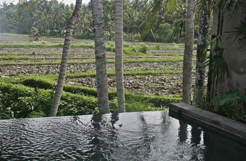Kayu