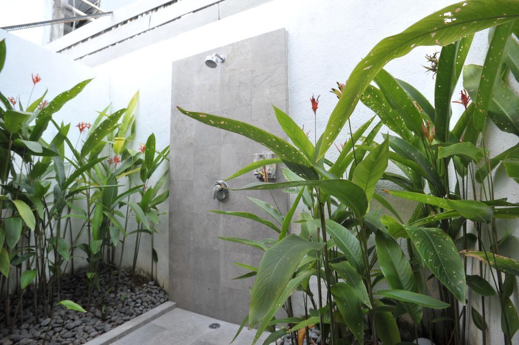 Bali Yarra - 2*