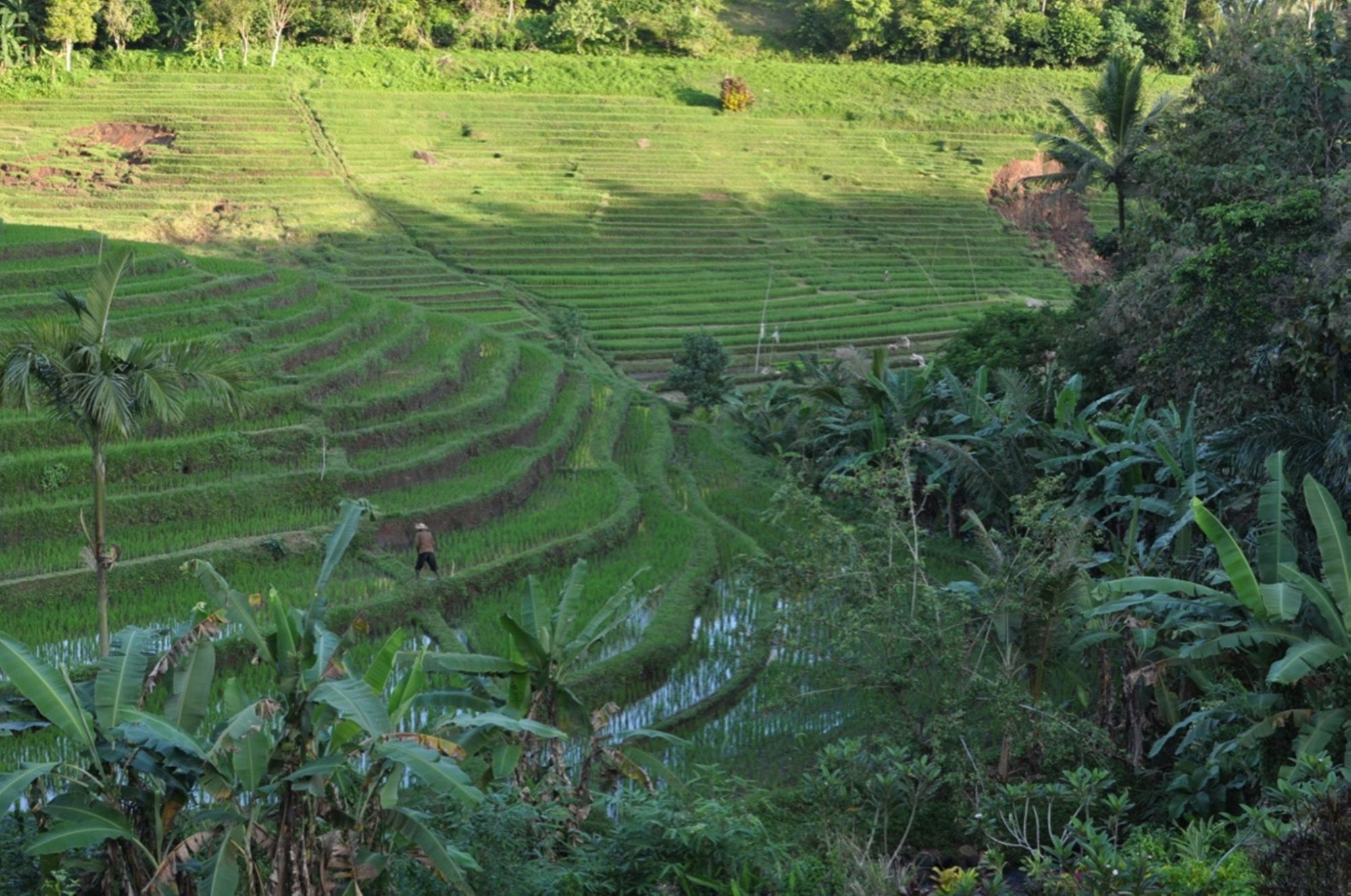 Bali Lush 3* Selemadeg (Bali)