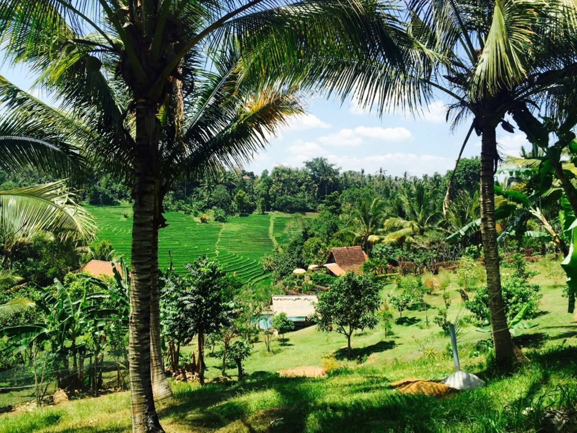 Bed & Breakfast Bali Lush 3*