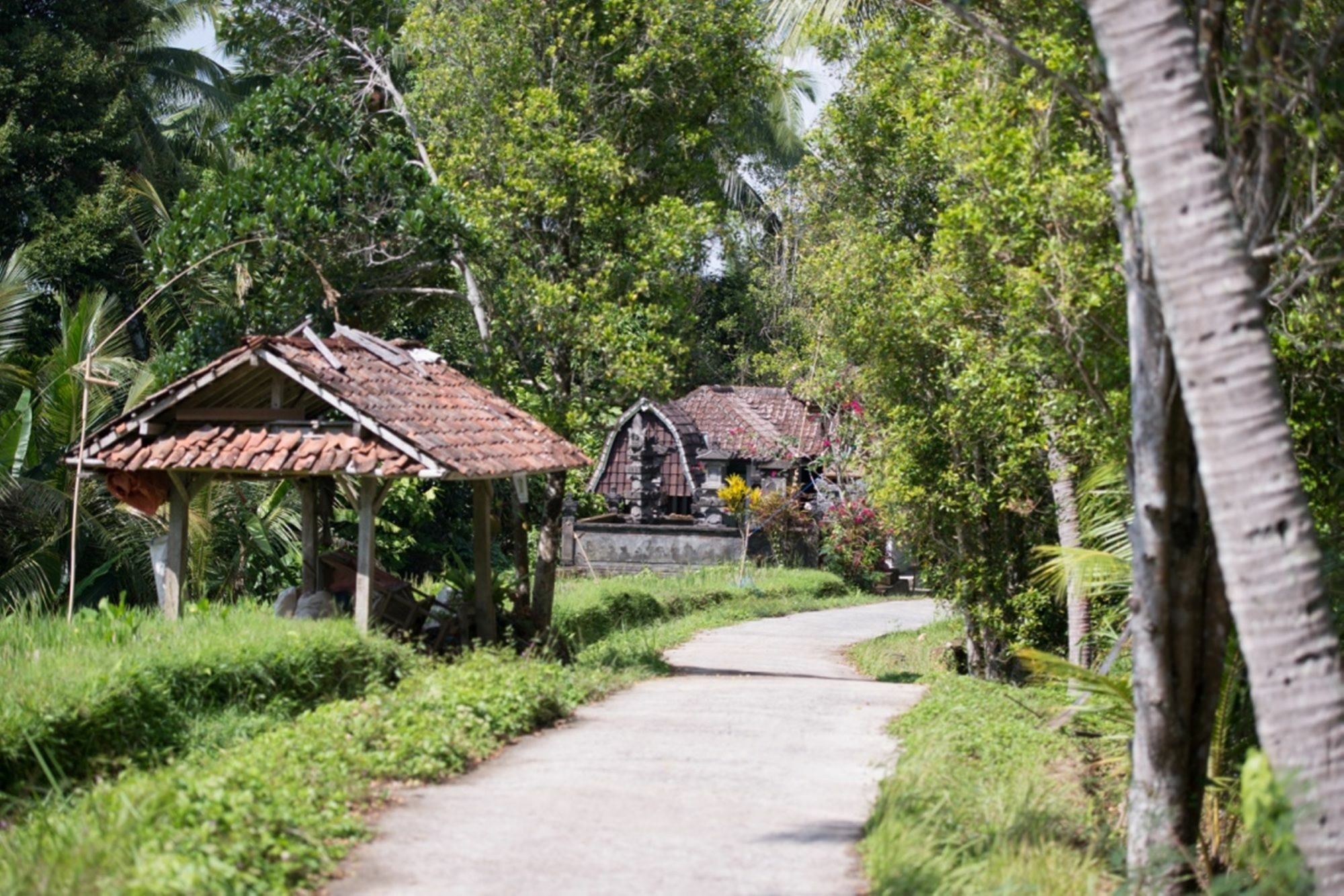 Bali Lush 3* Selemadeg (Bali)