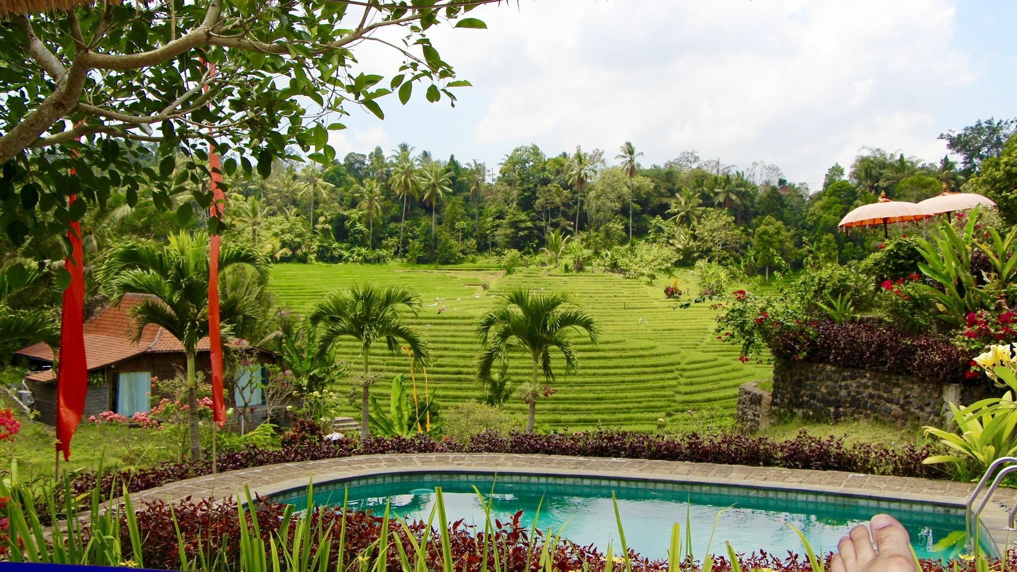 Bali Lush 3* Selemadeg (Bali)
