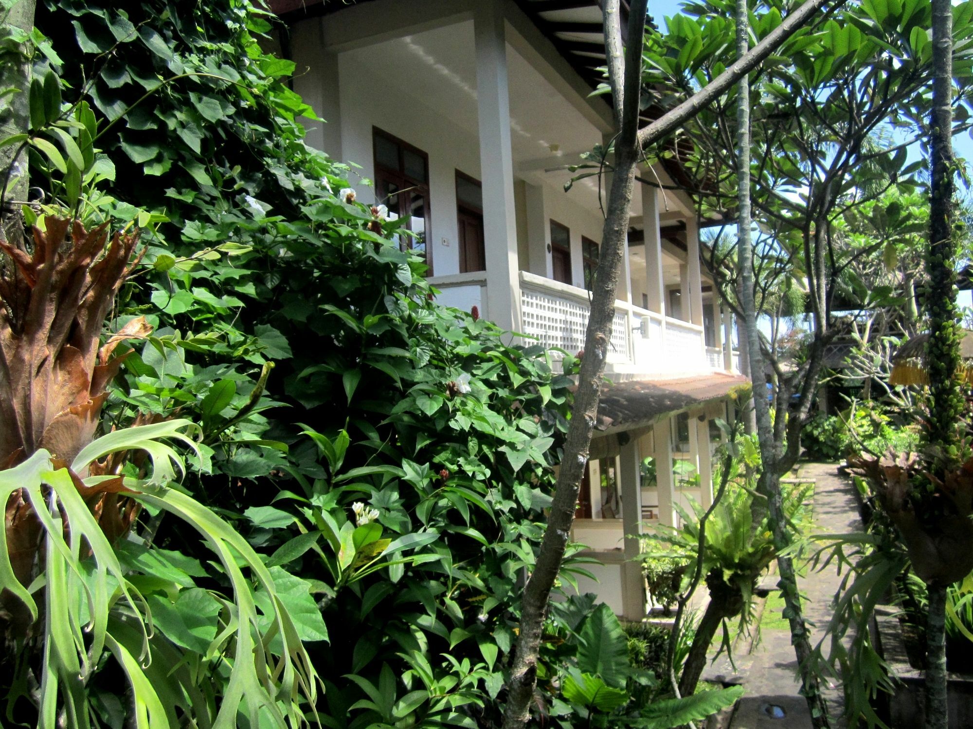 Hotel Oyo 3419 Casa Ganesha