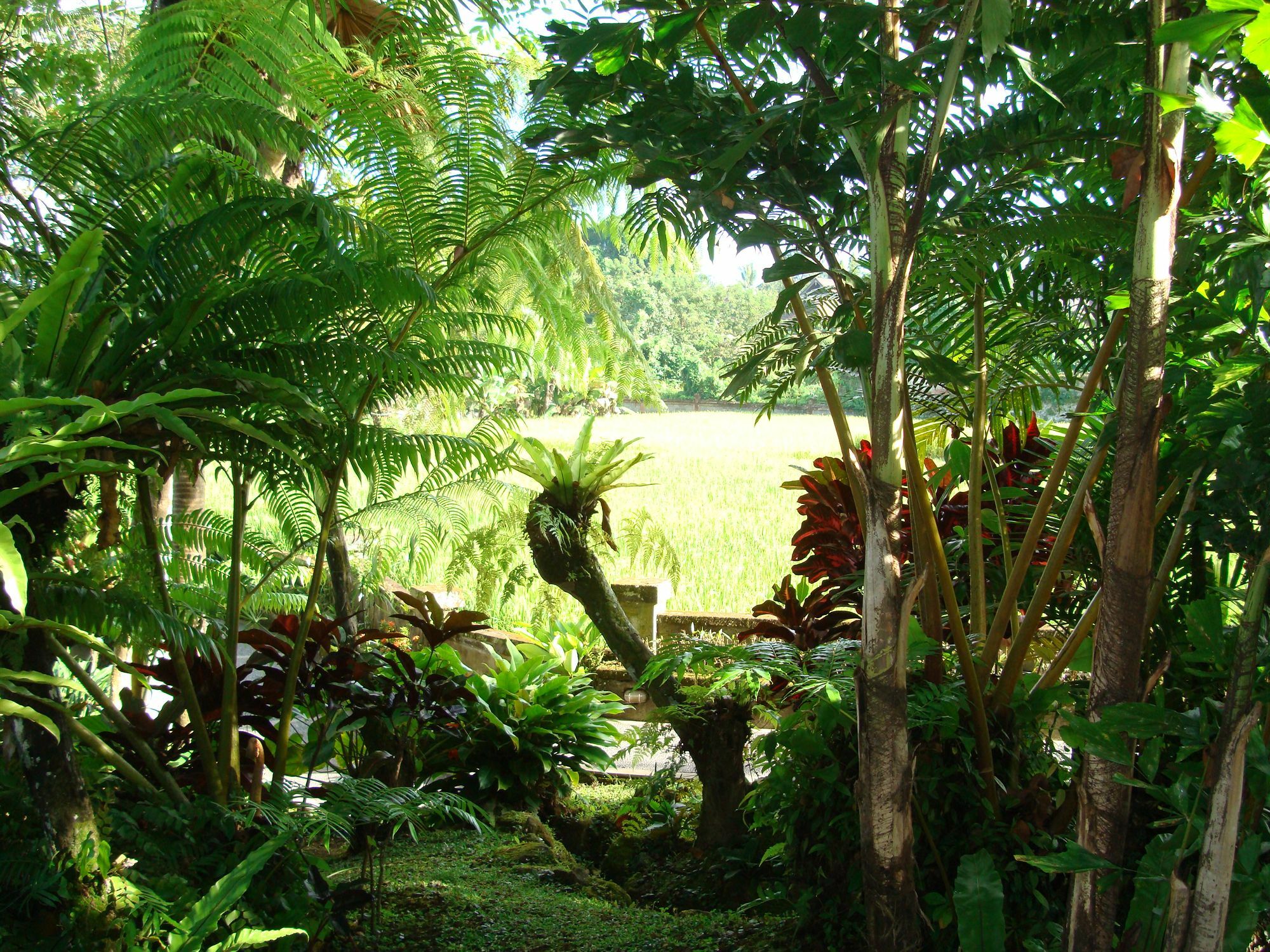 Anini Raka &