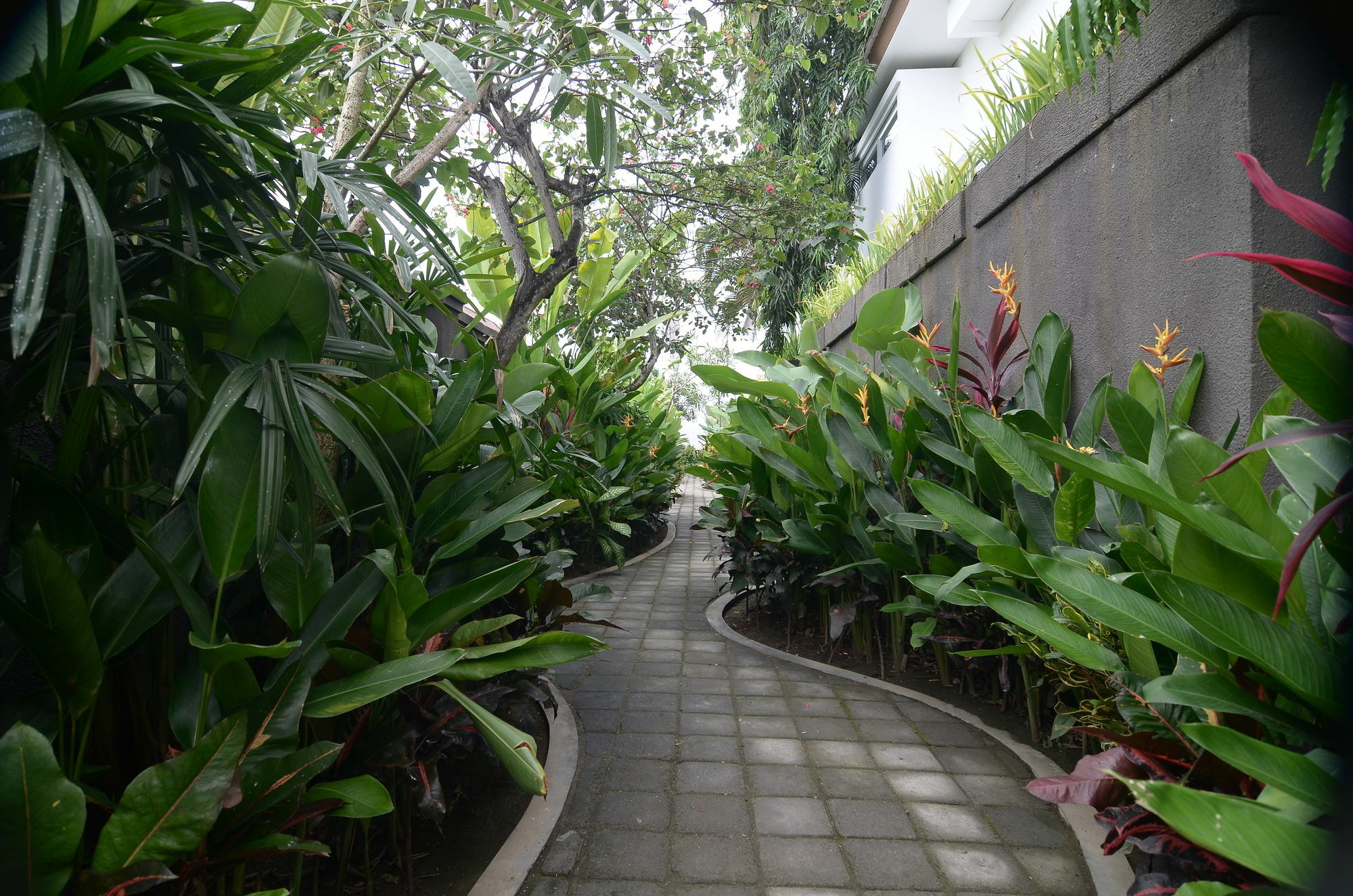Papillon Echo Hotel Canggu (Bali)
