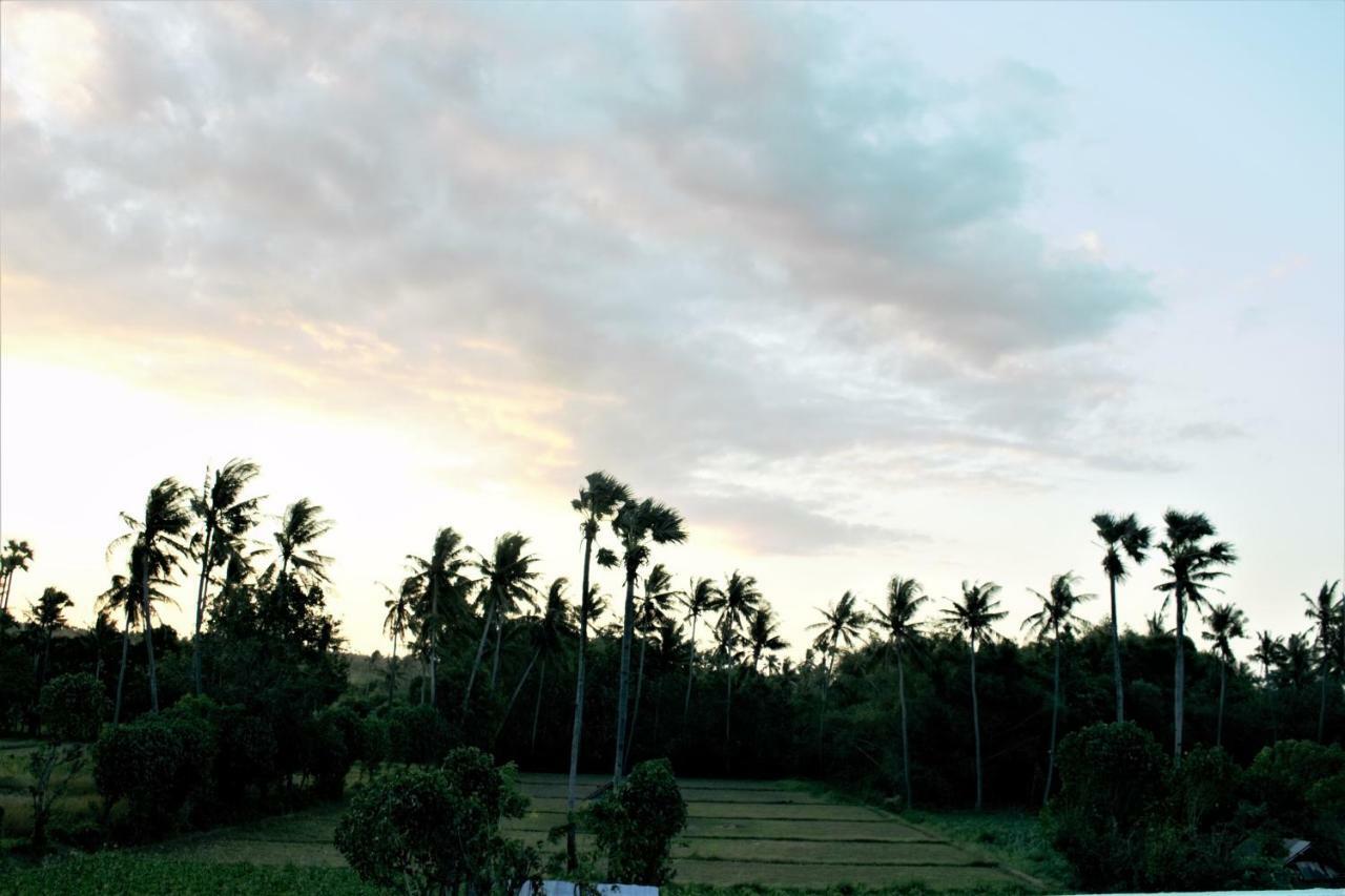 Guest house Adore Amed (Bali)