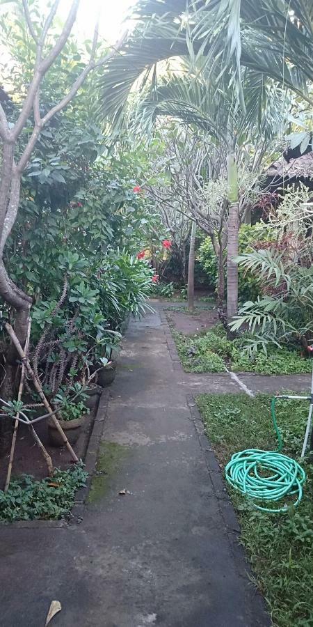 Aldi * Amed (Bali)