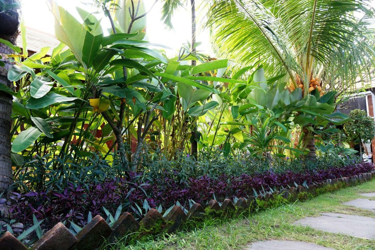 Homestay Louto Dmell Sanur (Bali)