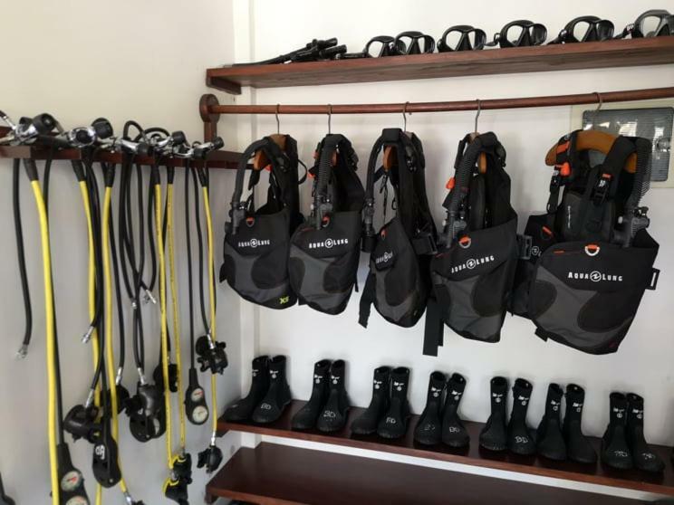 Bali Dive