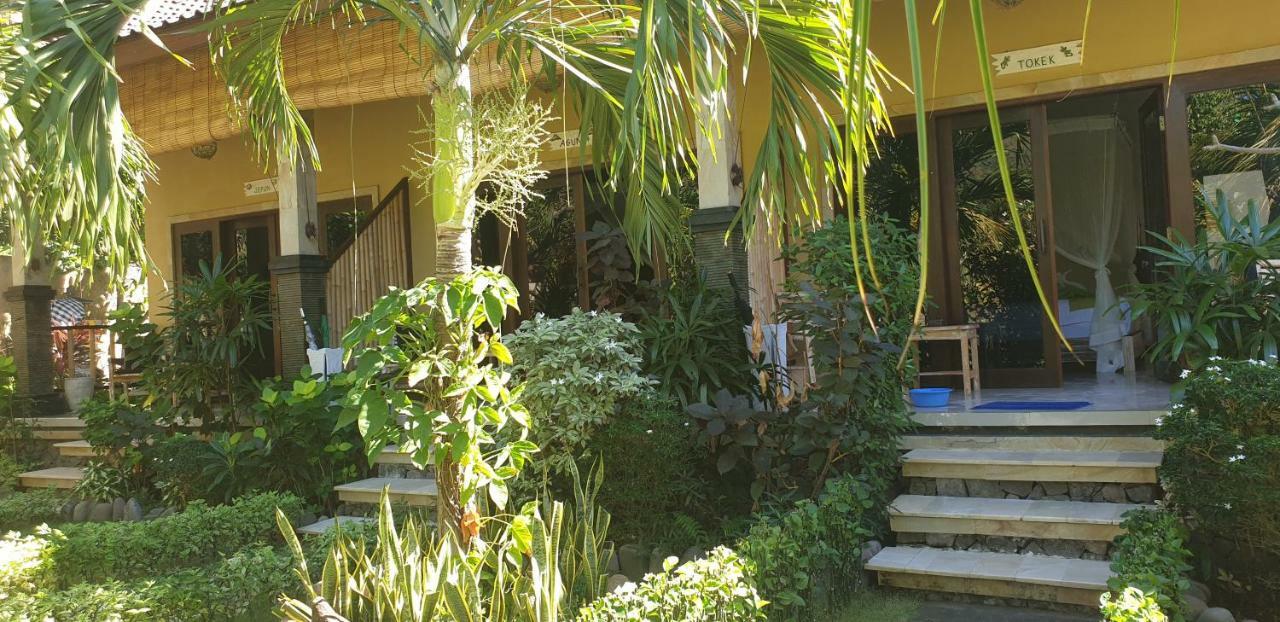 Resort Nalini 4*