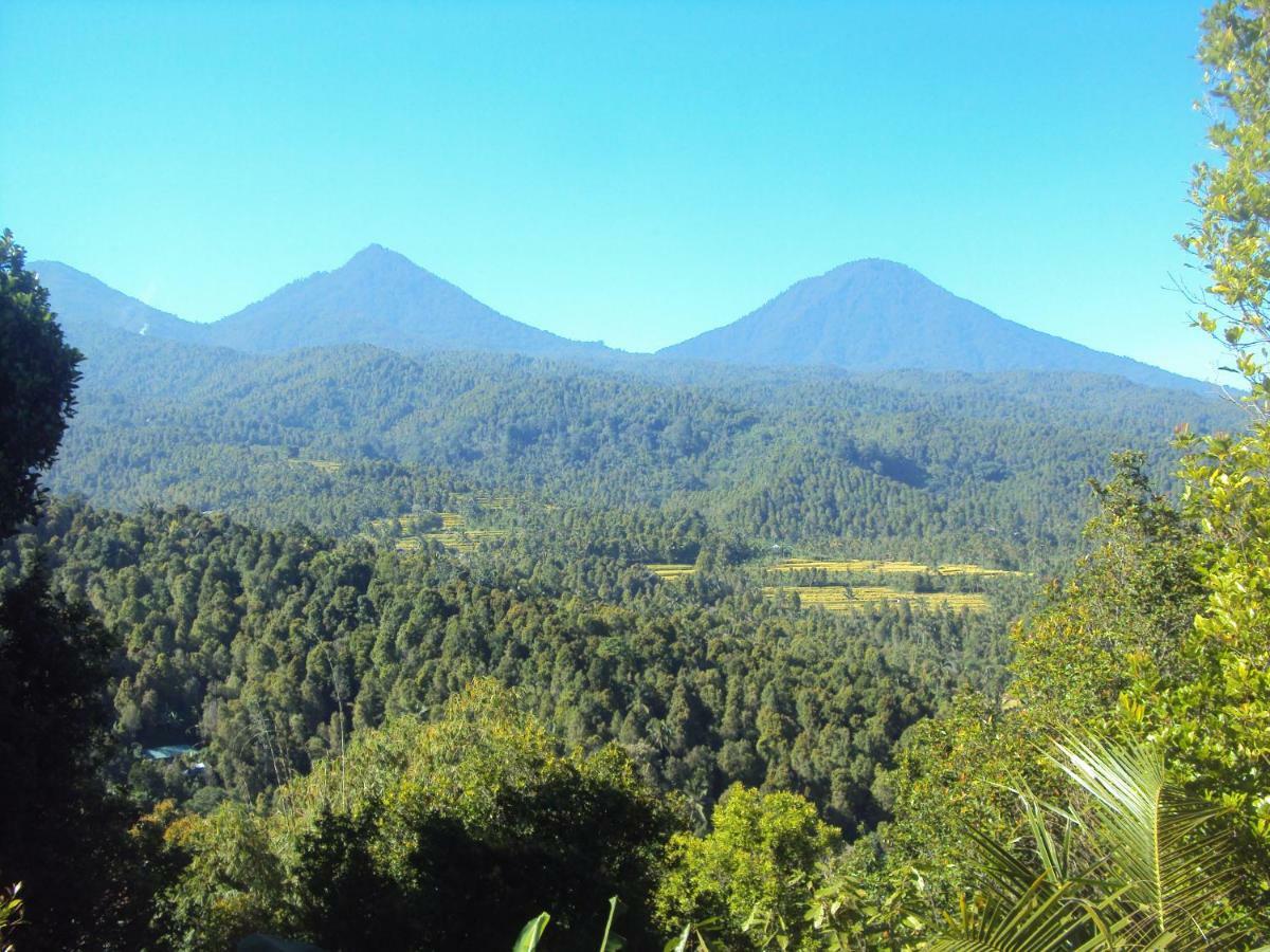 Made Homestay Munduk 2* Munduk (Bali)