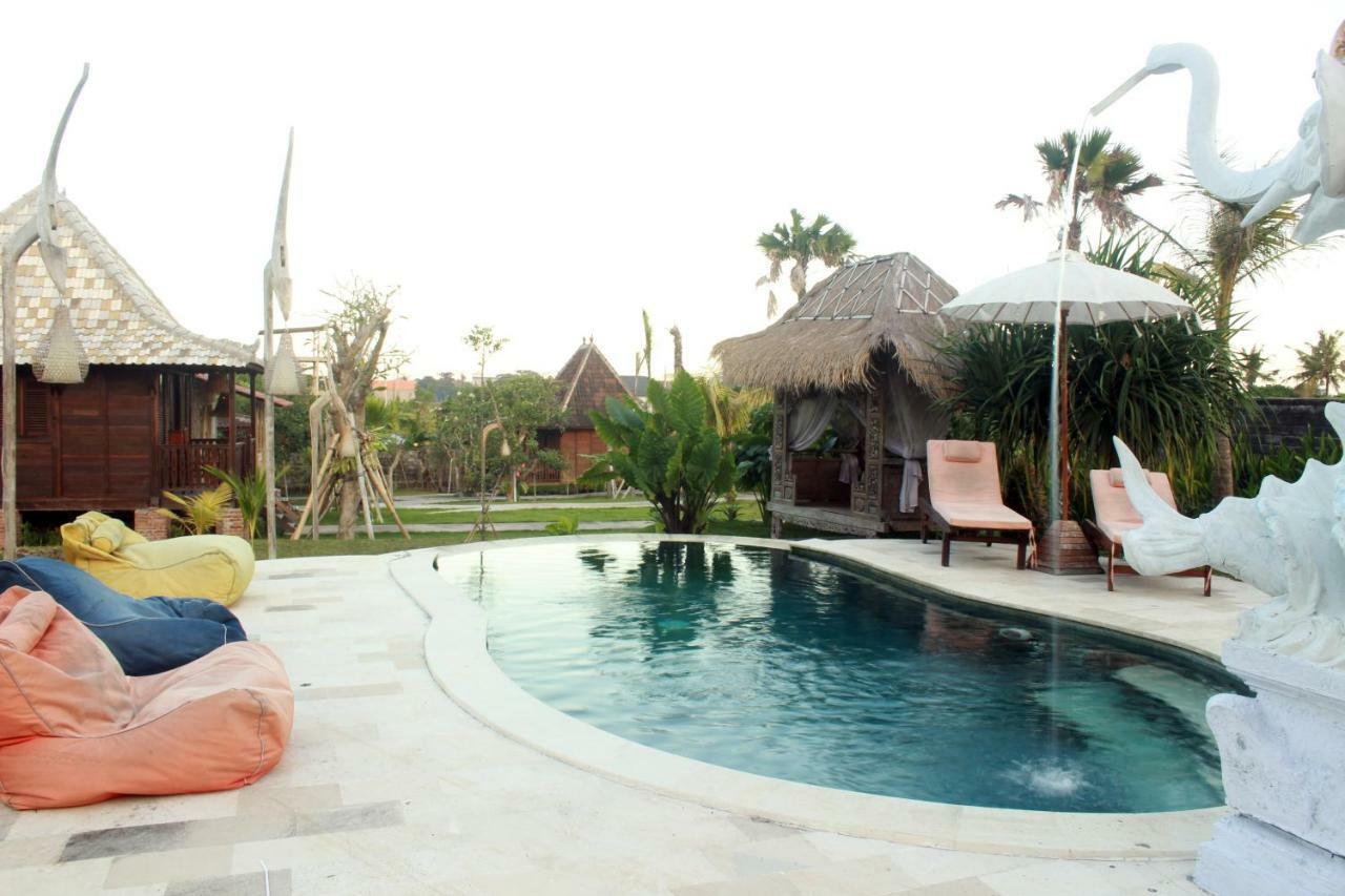 Guest house Premier Surf Camp 3*