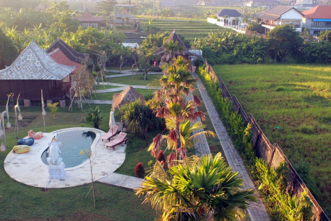 Premier Surf Camp