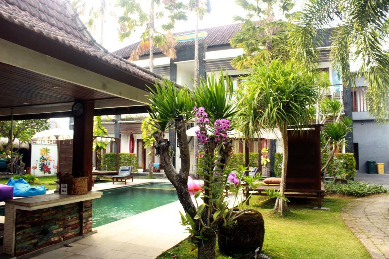 Guest house Premier Surf Camp