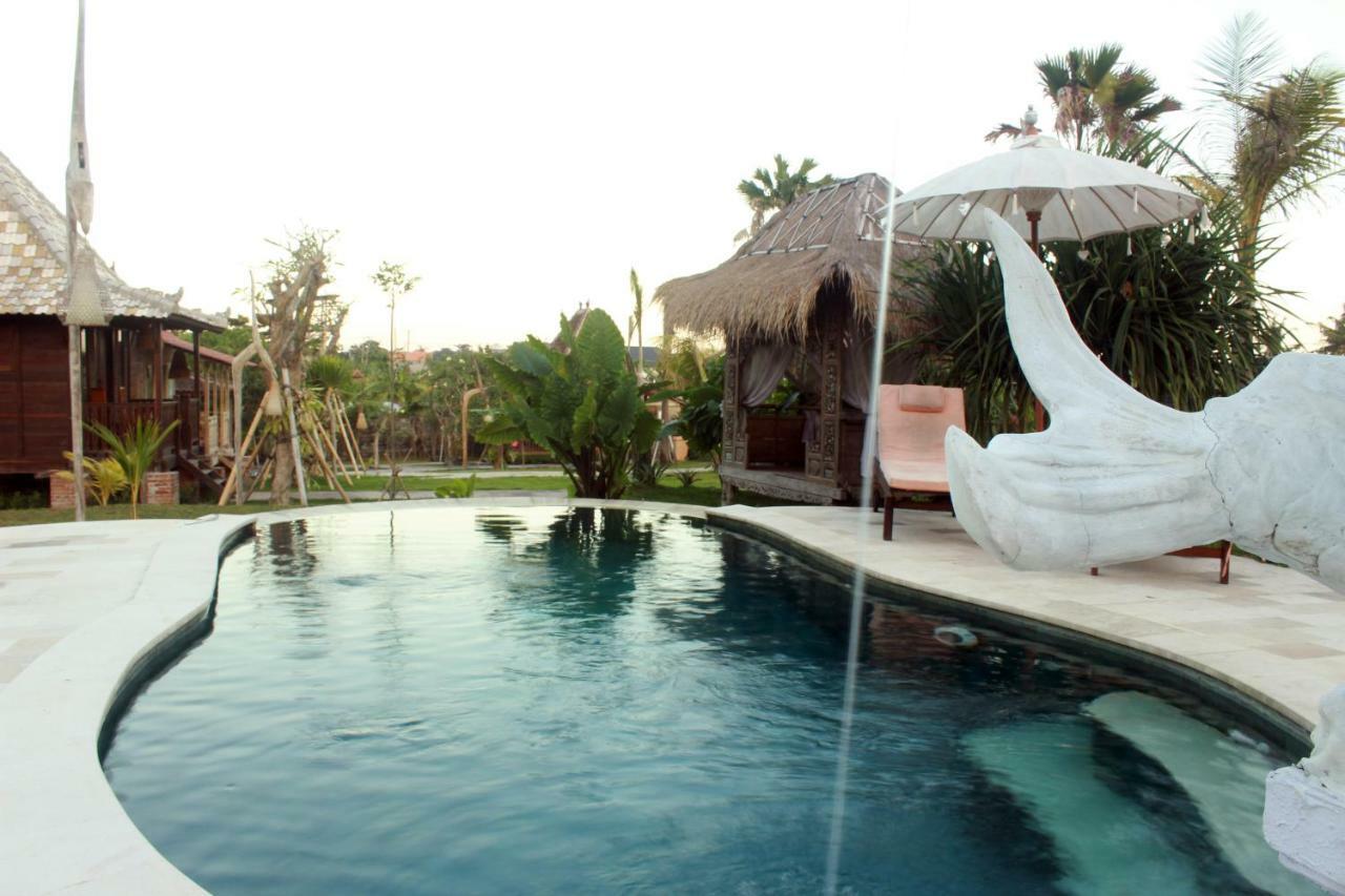 Premier Surf Camp Guest house 3*