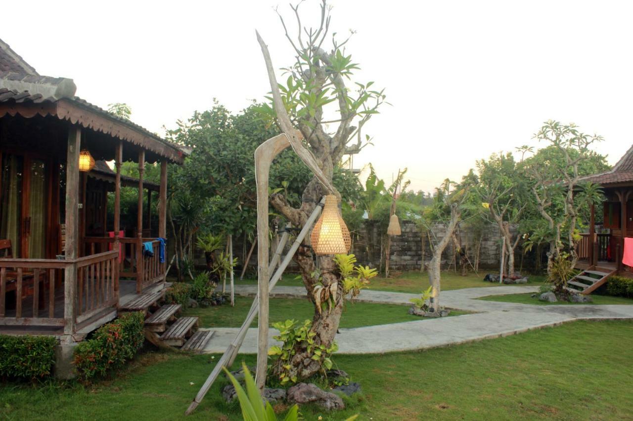 Premier Surf Camp