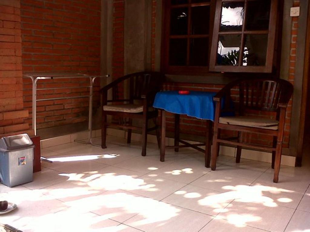 Citrus Tree - Arik Guest house