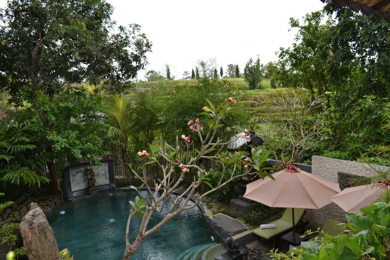 Kts Balinese Resort 4*