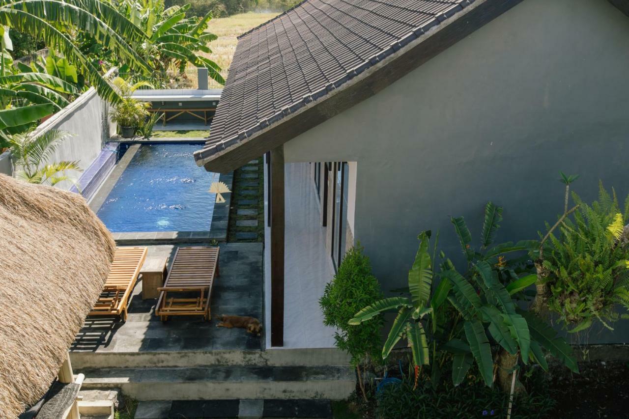 Homestay Pluto House Canggu (Bali)