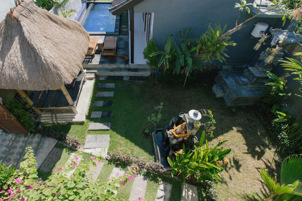 Pluto House Homestay *