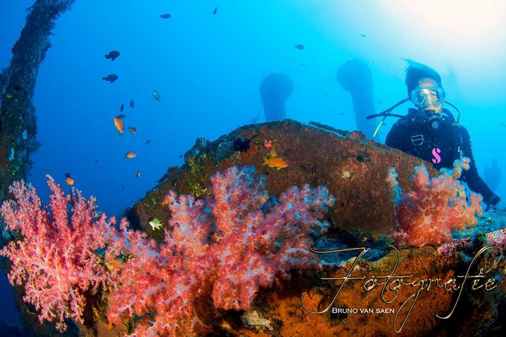 Relax Bali Dive & Ocean Front Holiday park 4*
