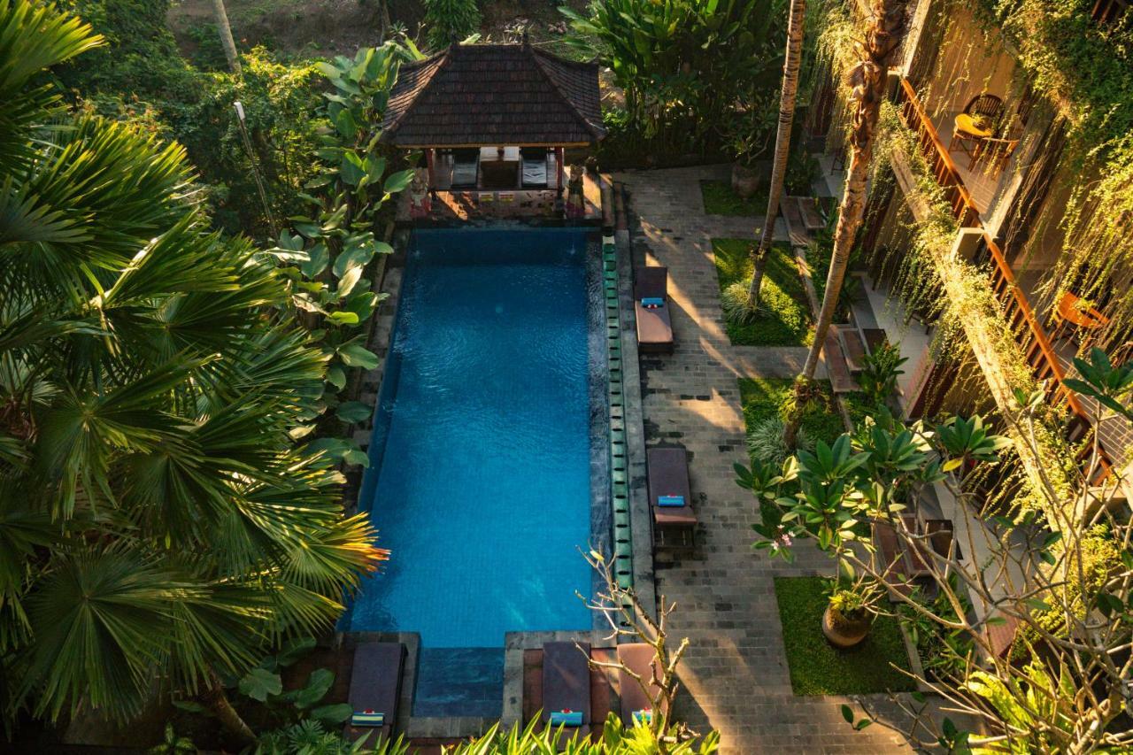 Alam Terrace Guest house