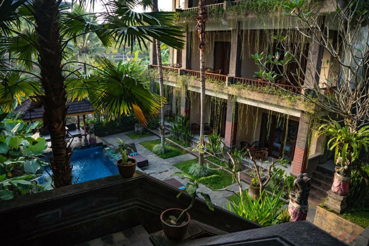 Alam Terrace Guest house Ubud (Bali)