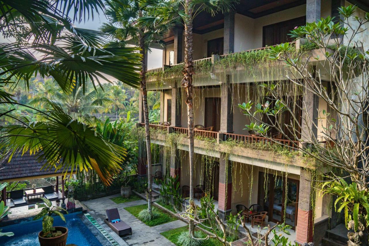 Alam Terrace Guest house