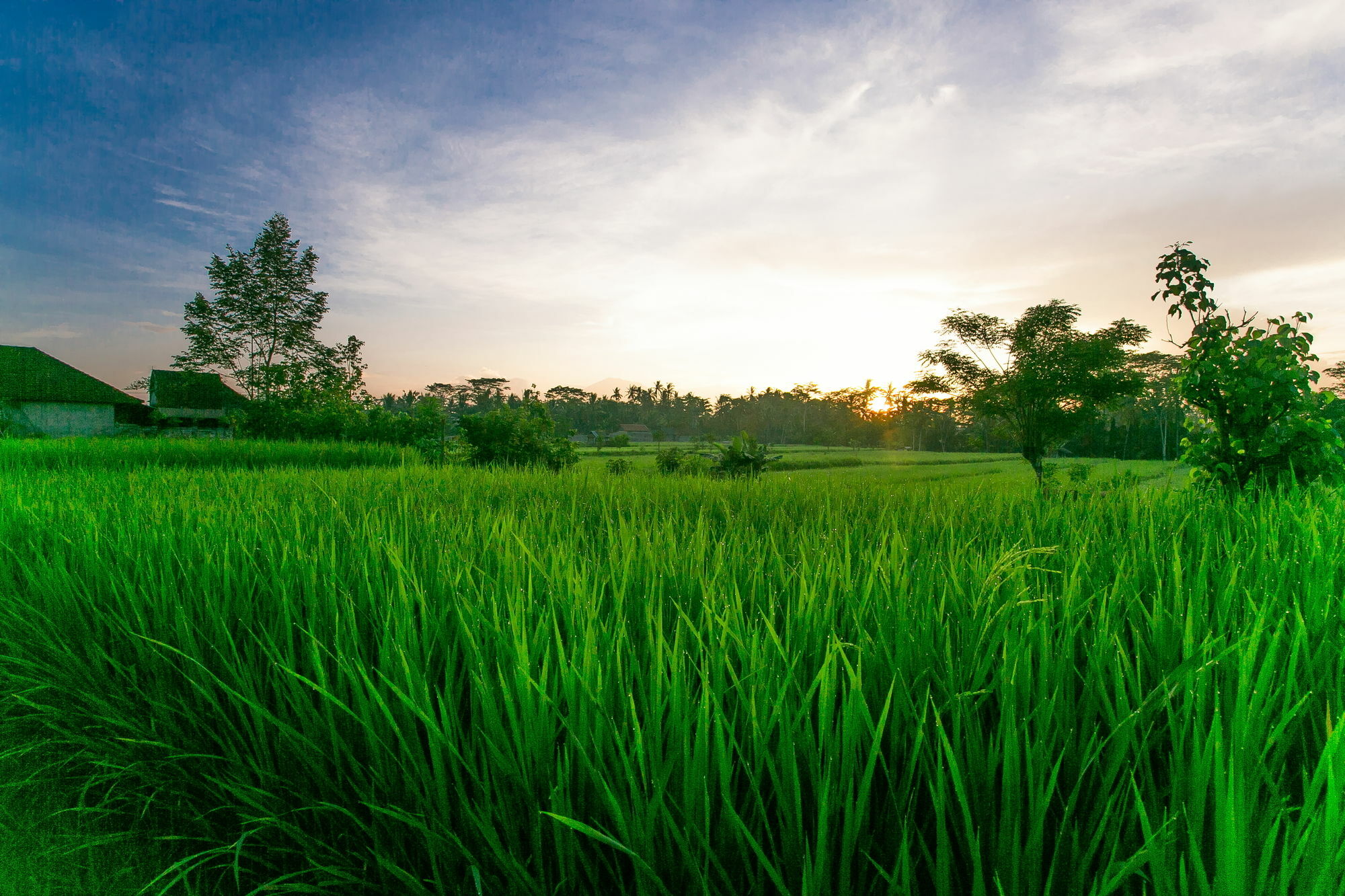 Pesantian Villa And Warung Guest house 4*
