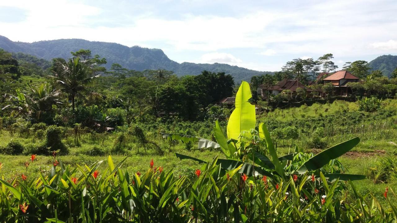 Masa Depan Sidemen (Bali)