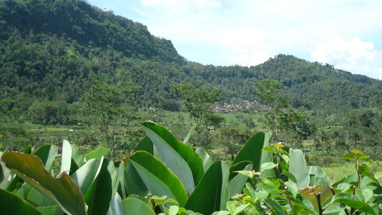 Masa Depan * Sidemen (Bali)