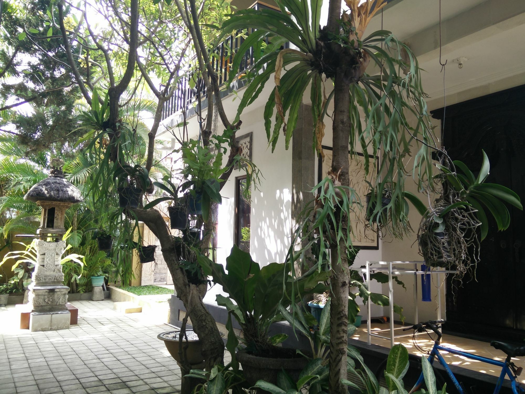 Guest house Double N Bali *