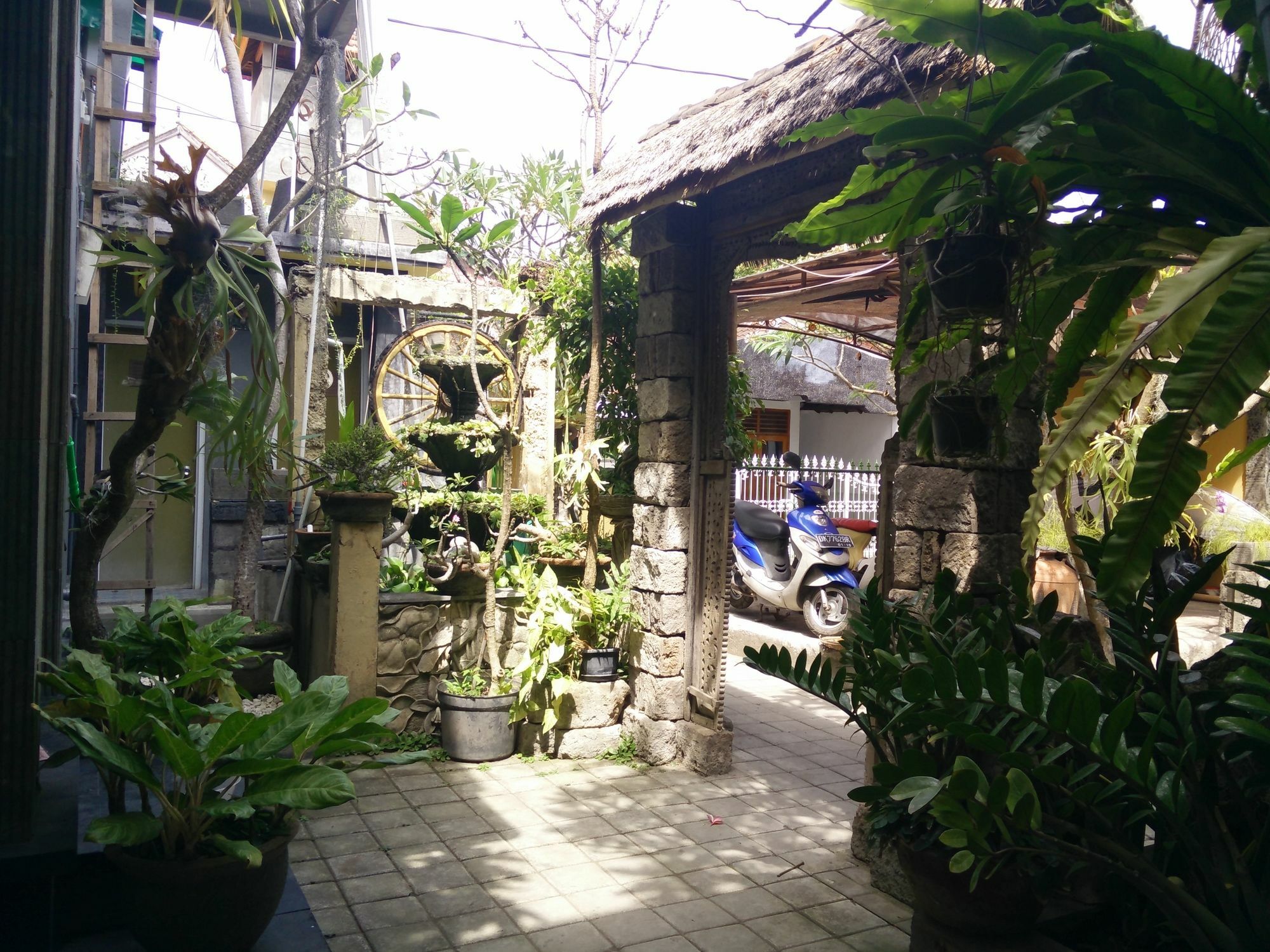 Double N Bali Guest house Sanur (Bali)