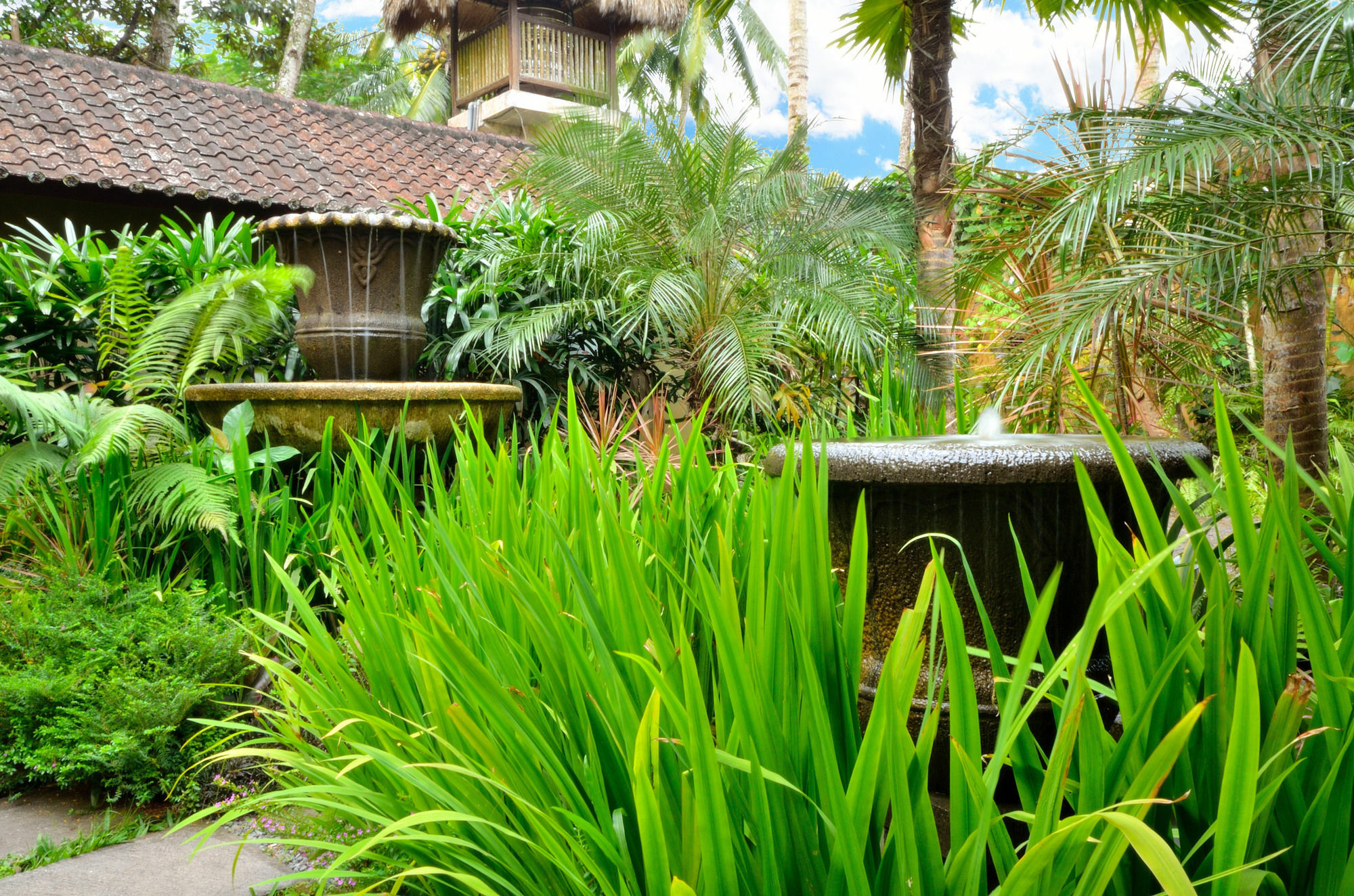 Jendela Di Bali Villa Tegallalang (Bali)