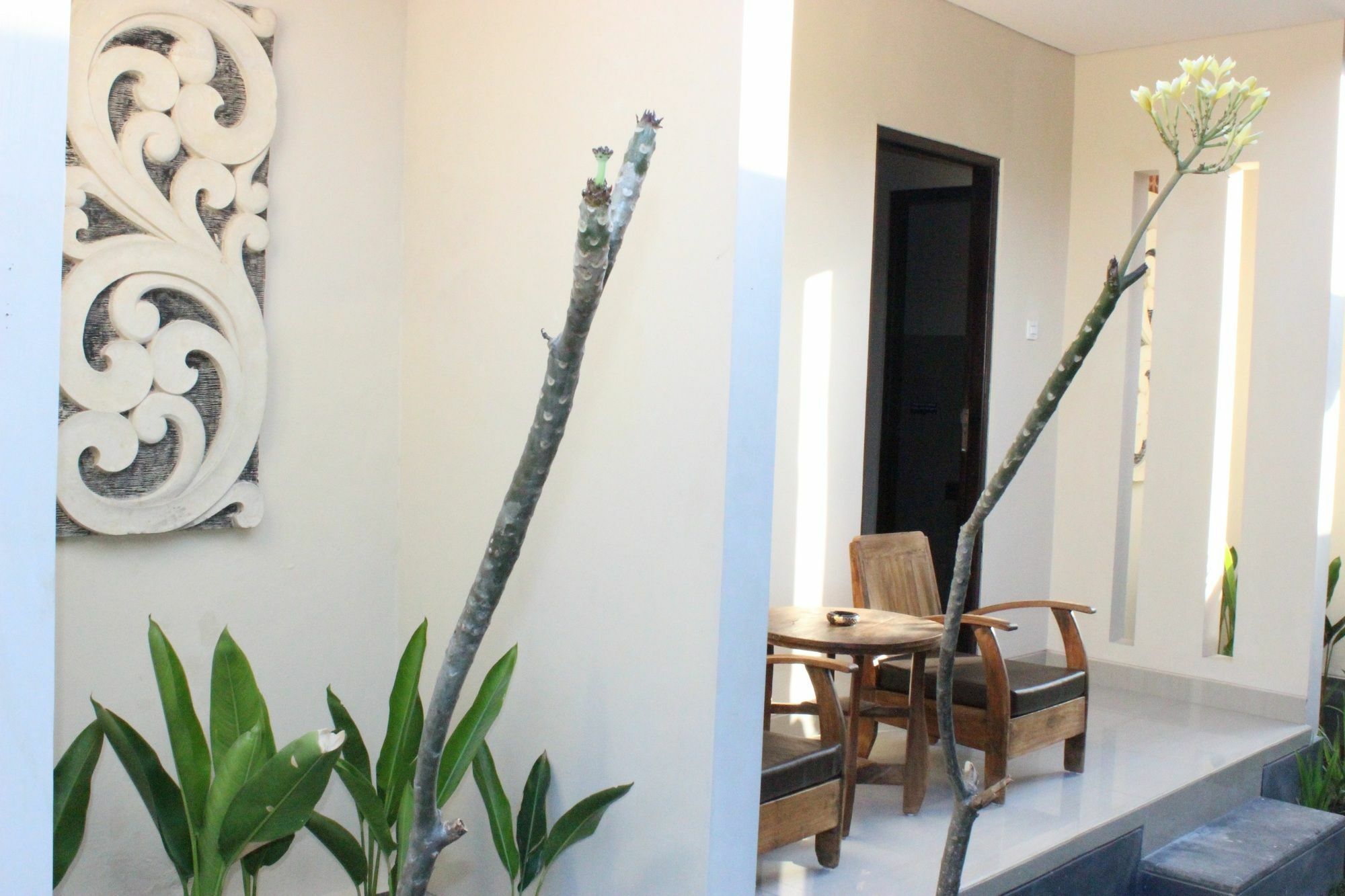 Blanjong By Ecommerceloka Sanur (Bali)