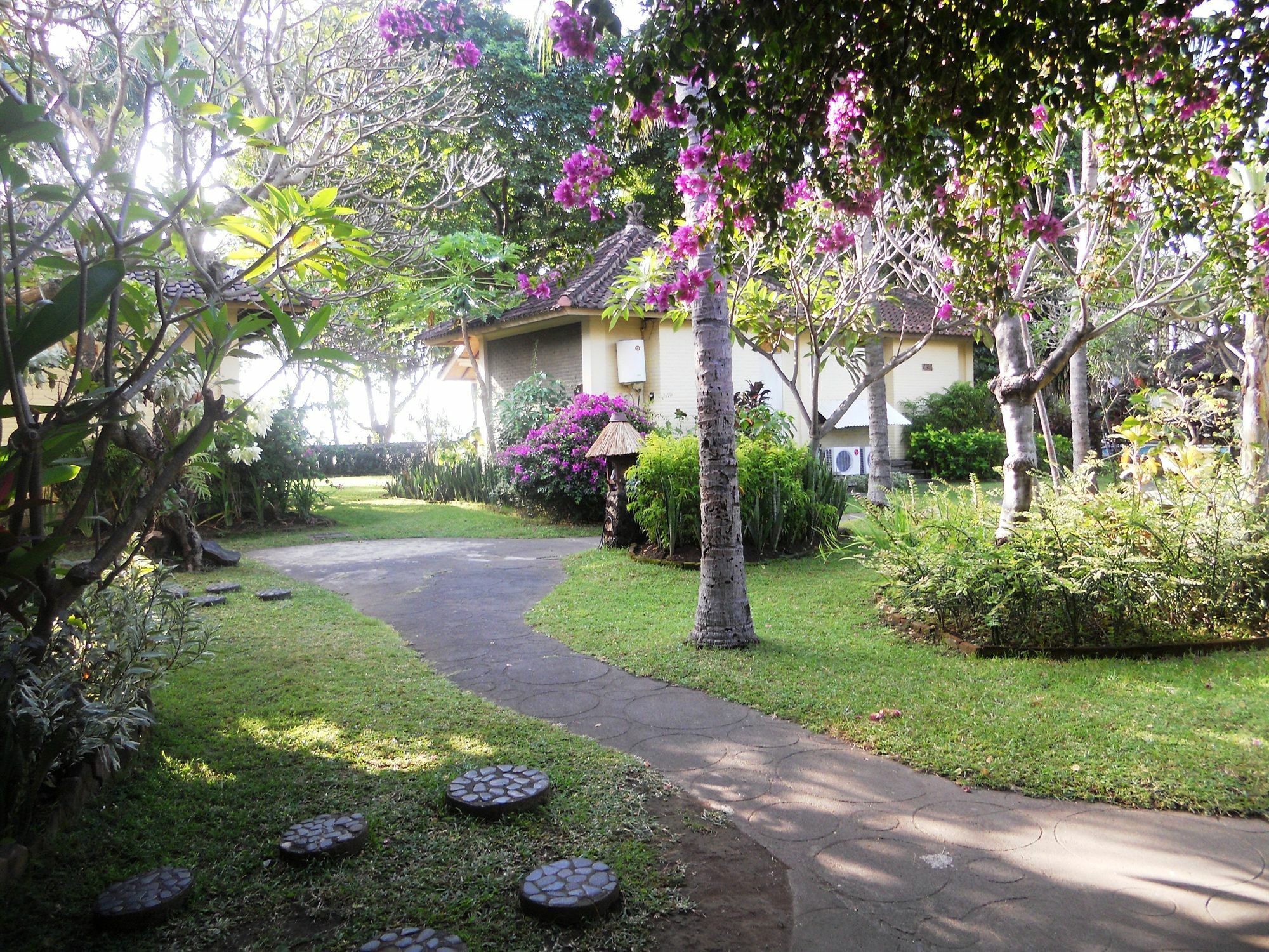 Bali Lovina Buleleng (Bali)