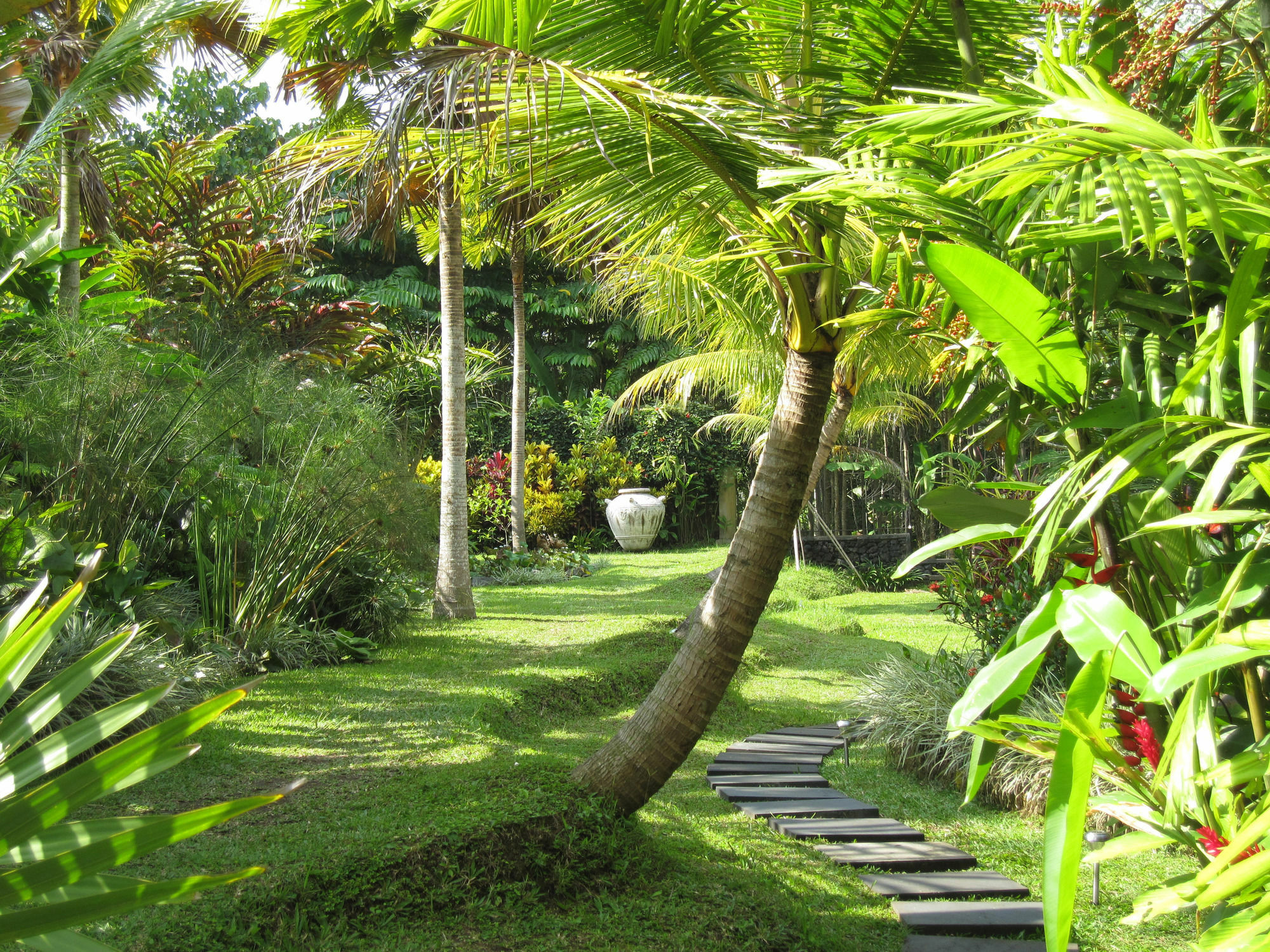 Jendela Di Bali Tegallalang (Bali)