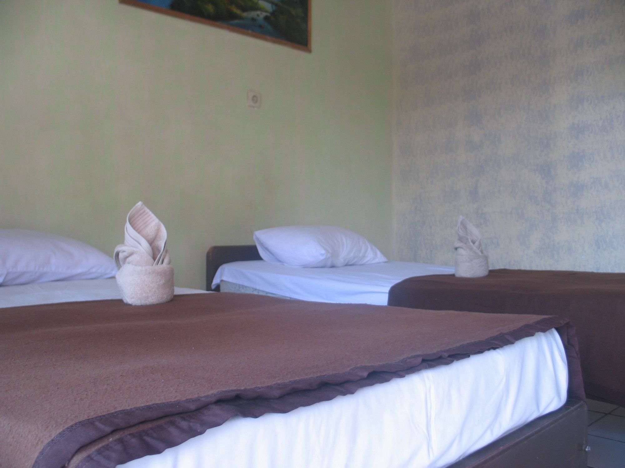 Bed & Breakfast Lovina Central Hostel