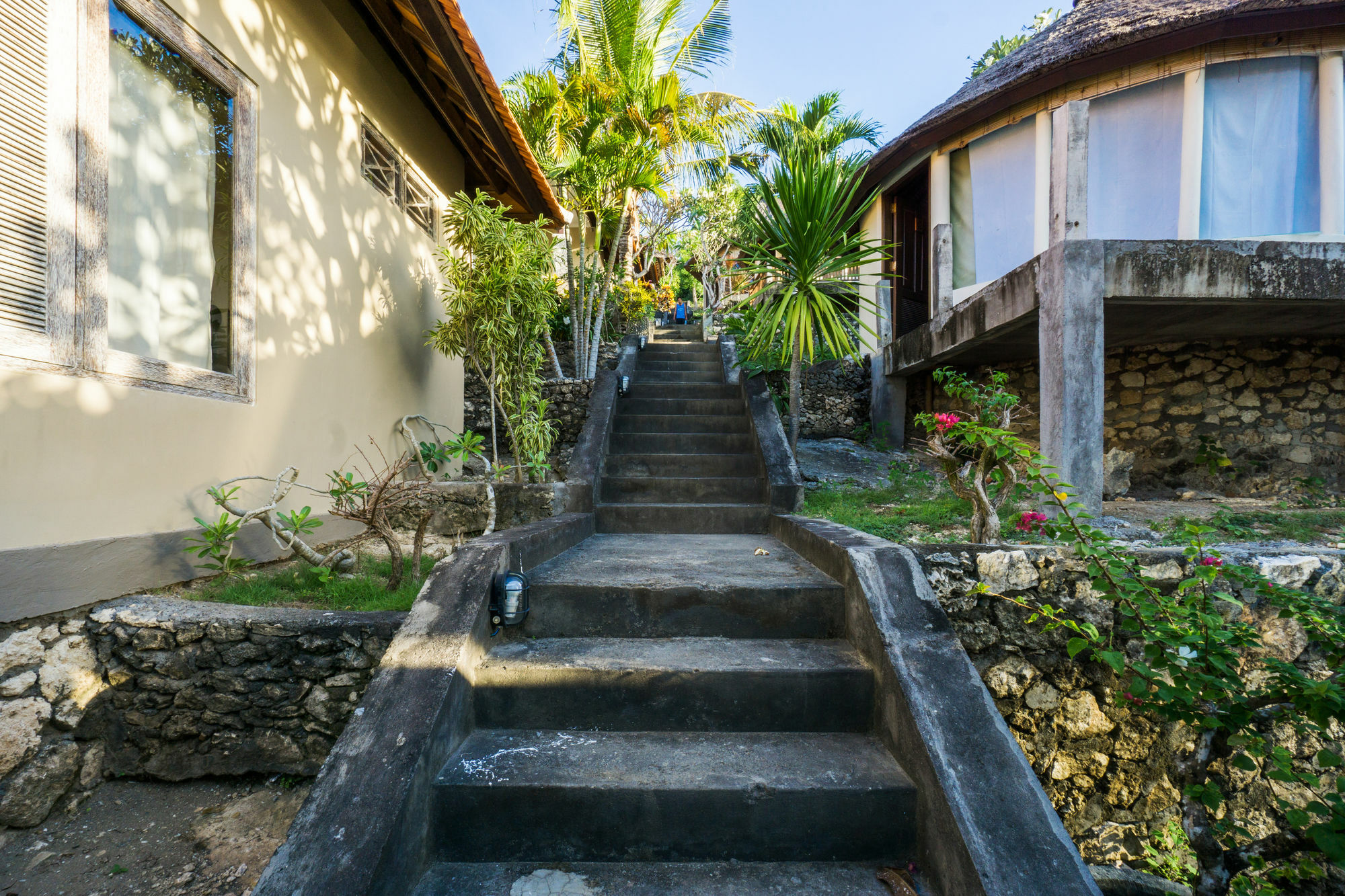 Ware Ware Surf Holiday park Nusa Lembongan (Bali)