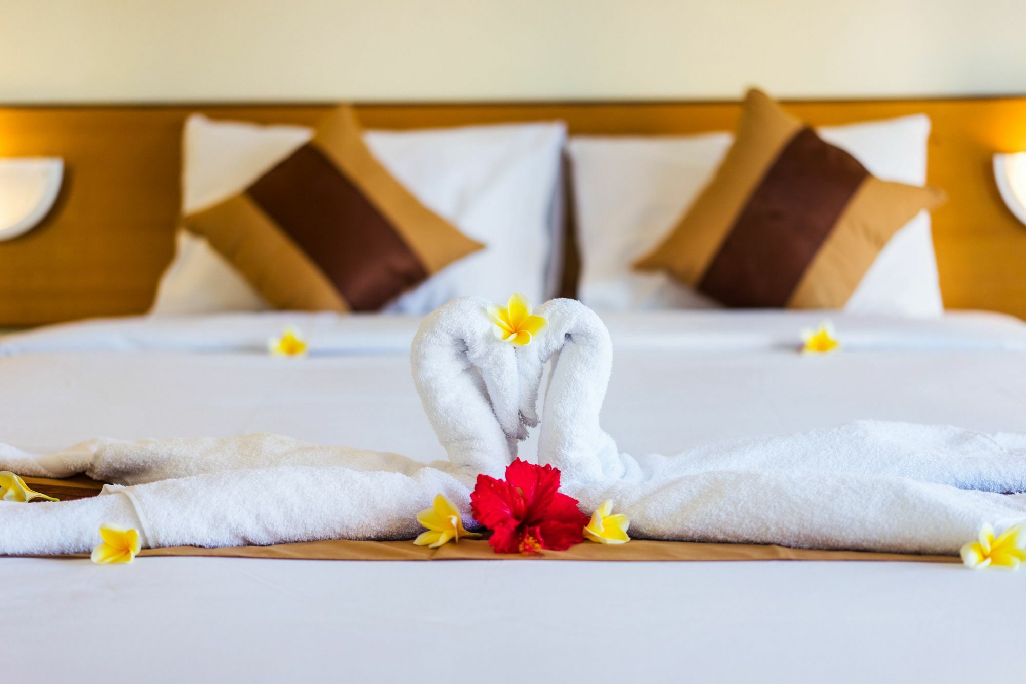 Guest house Seaweed Nusa Lembongan (Bali)
