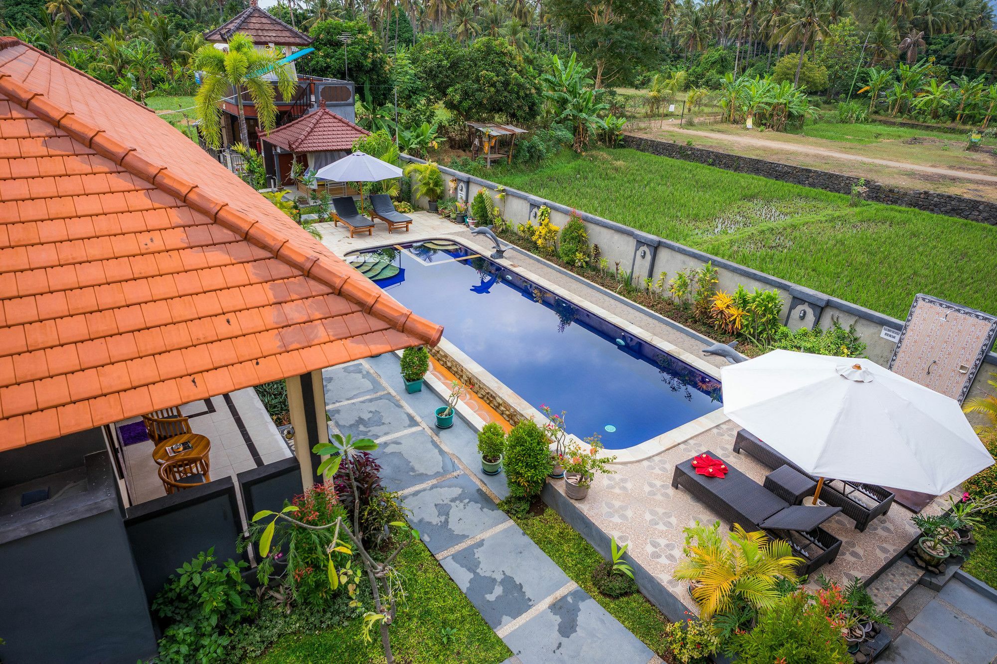 Guest house Summer Lovina (Bali)