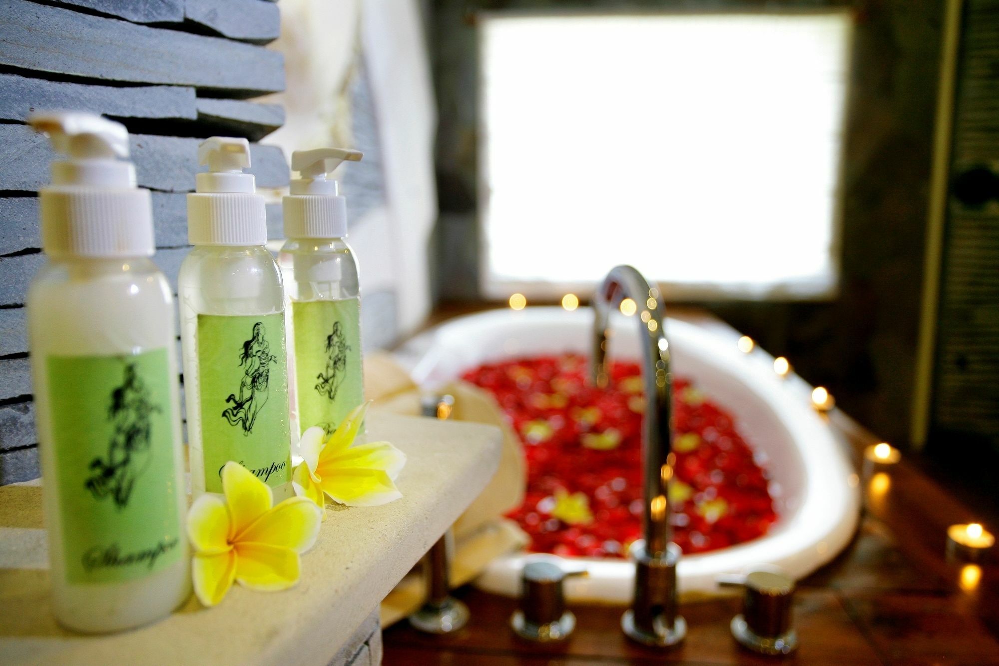 The Bali Dream & Echo Resort Canggu (Bali)
