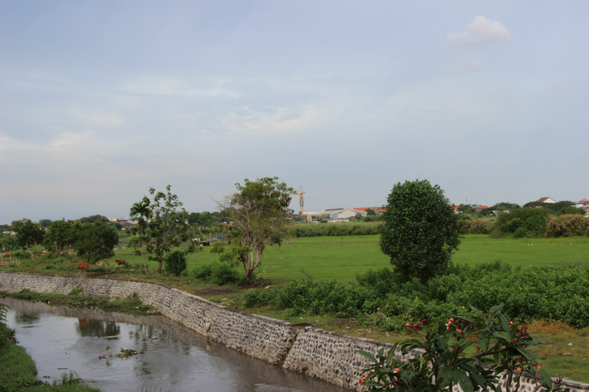 Homestay Beji Ayu