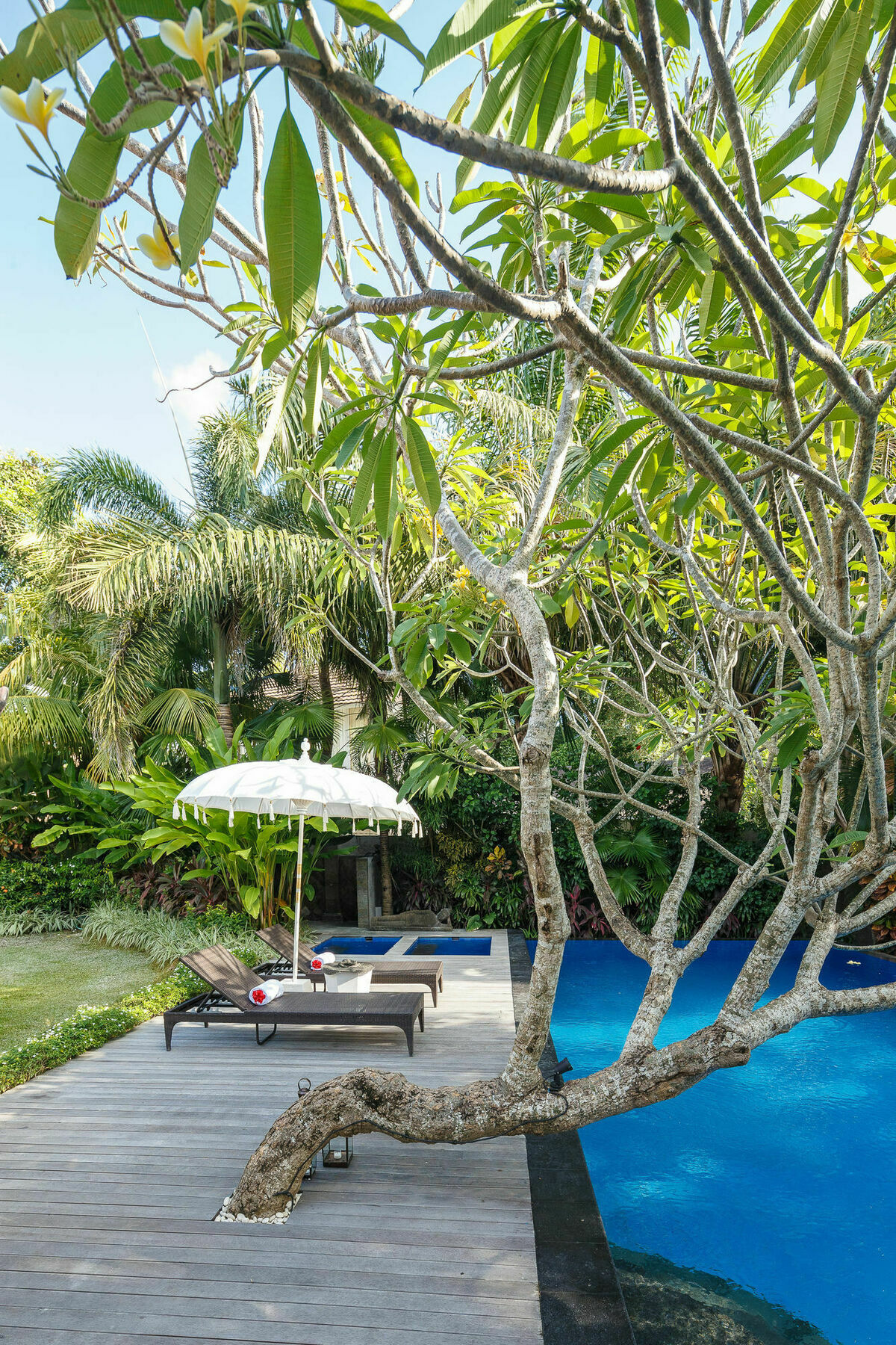 Villa Andaru Umalas Seminyak (Bali)