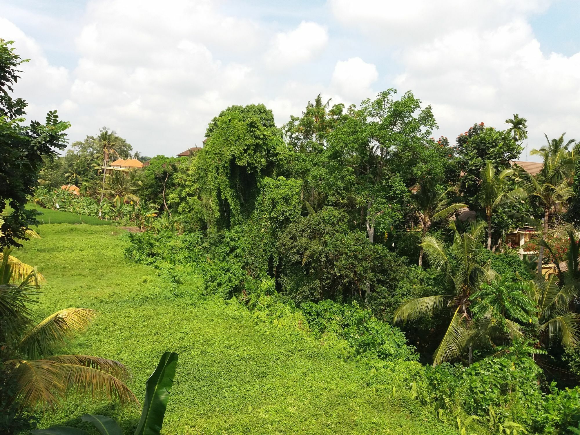 Amoya Guest house 3*