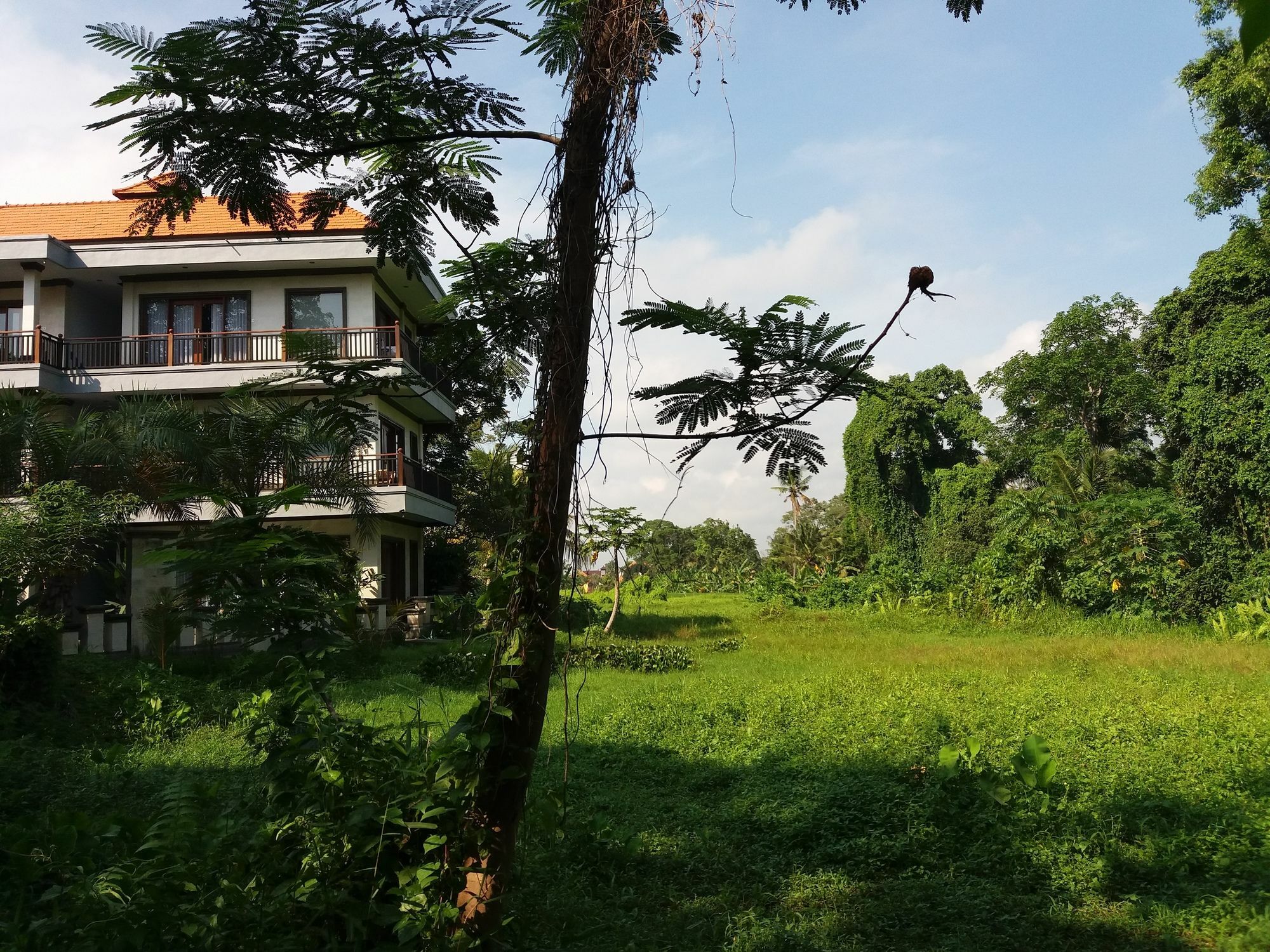 Guest house Amoya 3*