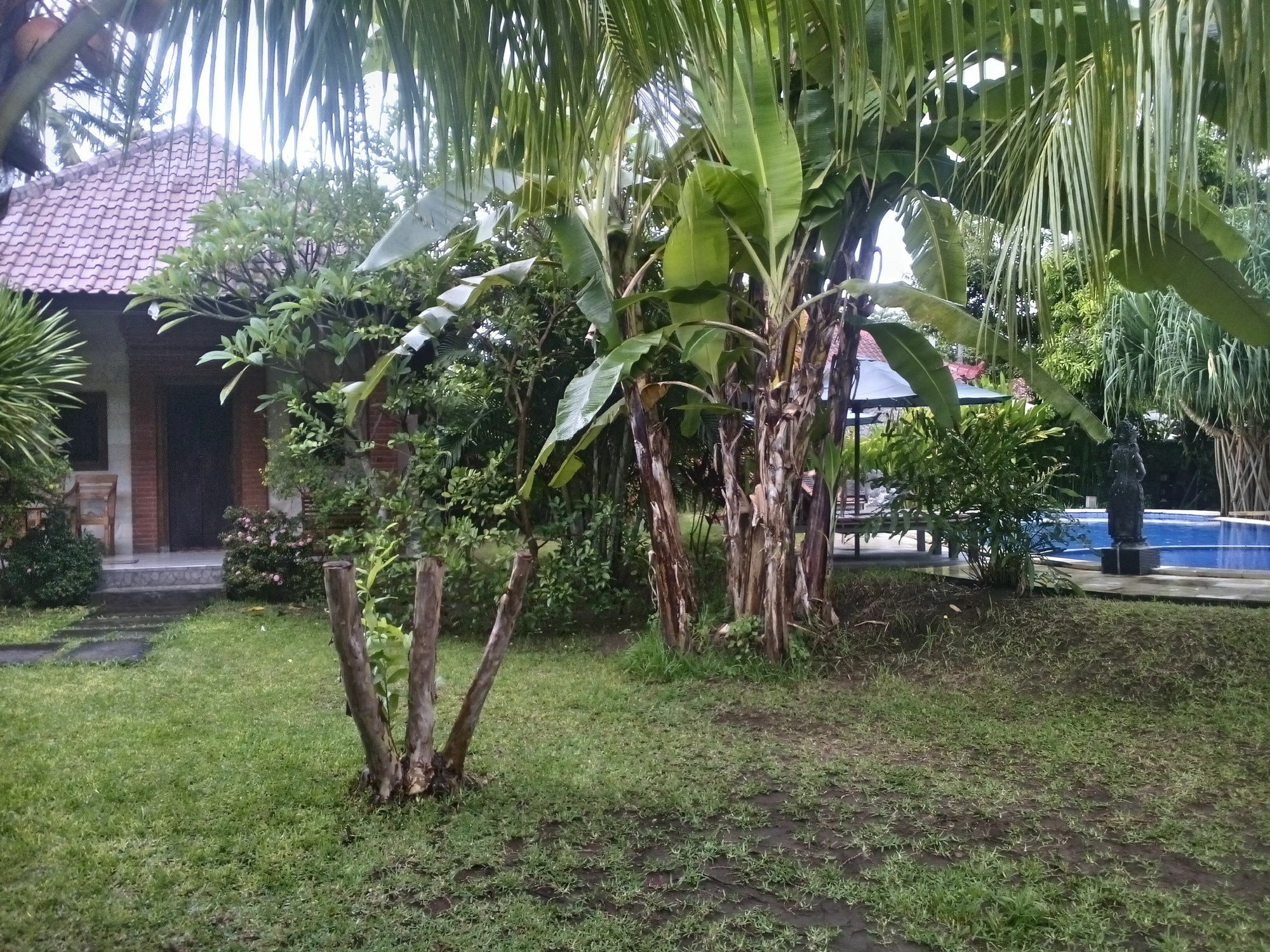 Suka Sari * Pemuteran (Bali)