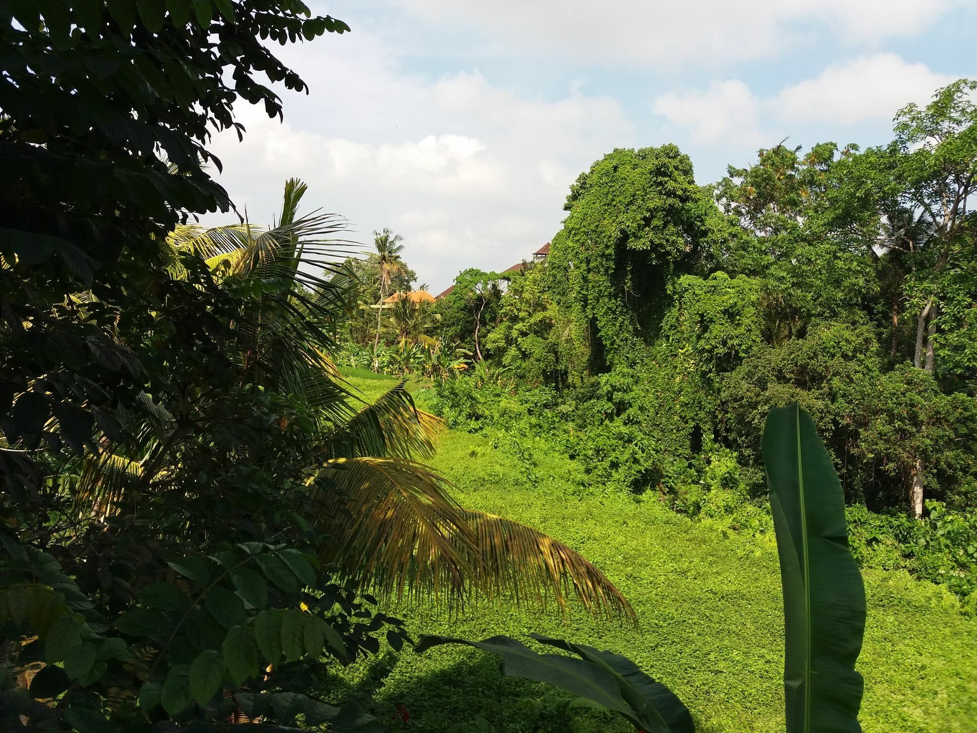 Amoya Guest house 3*